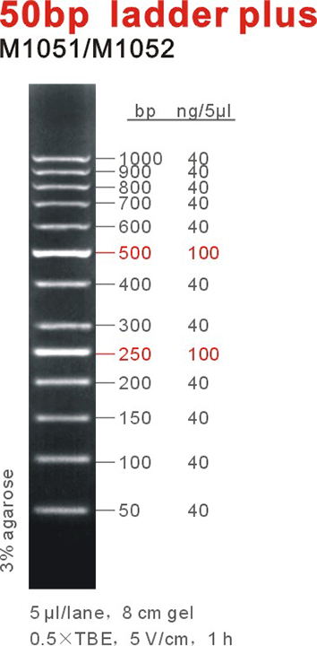 DNA Marker 50bp ladder plus(M1051-M1052).jpg